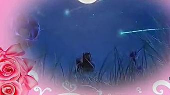 耽美小视频动漫视频